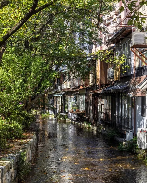 Takase River 📷 Attractions 🌿🍃