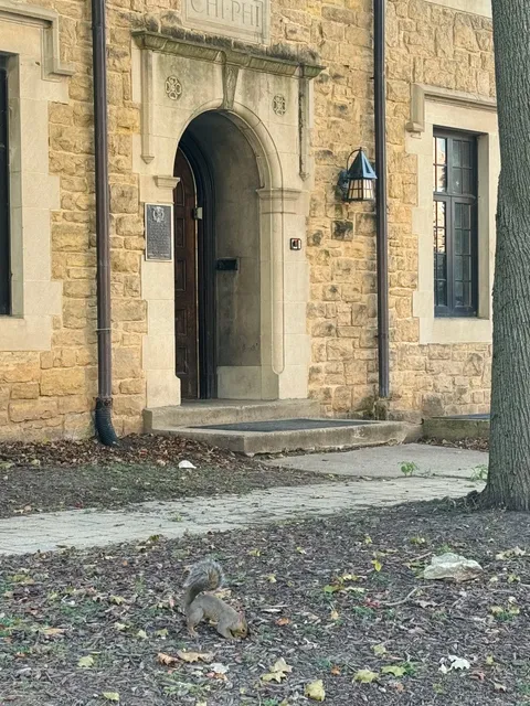 Wonderful Moments in Madison！！！！🌸✨