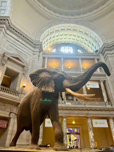 Washington DC 3-Day Itinerary | The Ultimate Guide 🇺🇸🏛️