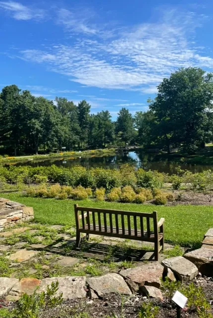 🌳 Holden Arboretum | A Tranquil Canopy Escape Near Cleveland