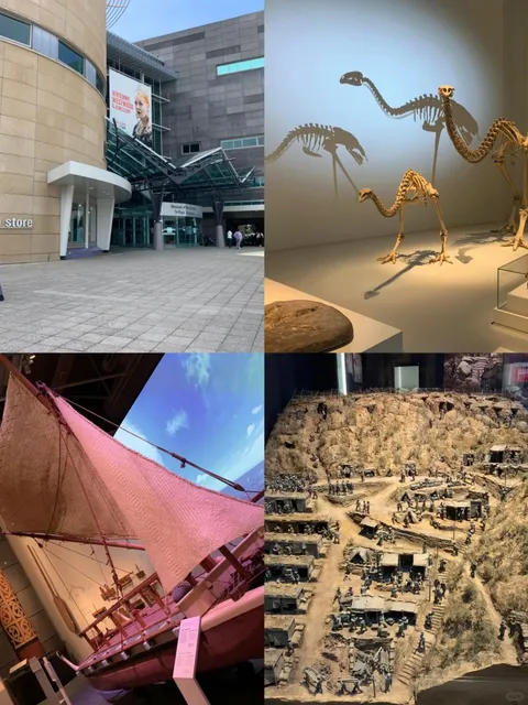 🇳🇿 Taupo, New Zealand - Ultimate Travel Guide 