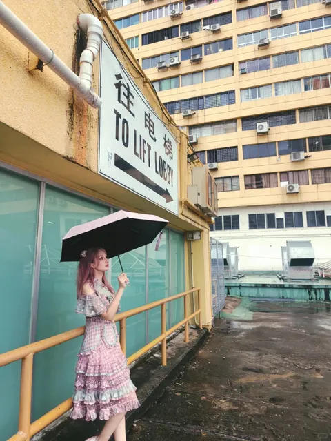 Singapore Pearl's Hill Centre Rooftop 🌇🌿