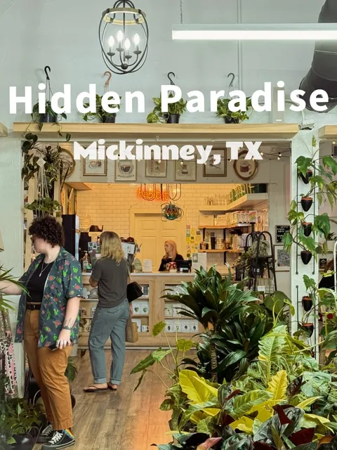 Dallas Weekend Find: Habitat - A Green Oasis Café