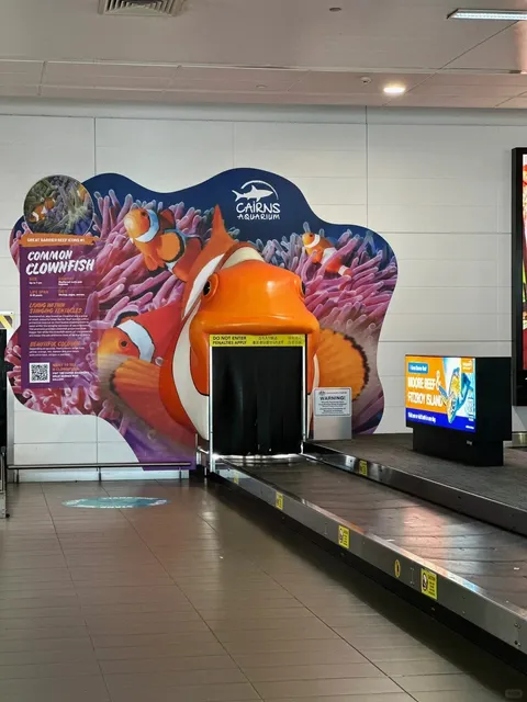 🇦🇺 Cairns: The Ultimate Southern Hemisphere Winter Escape! 🌴☀️