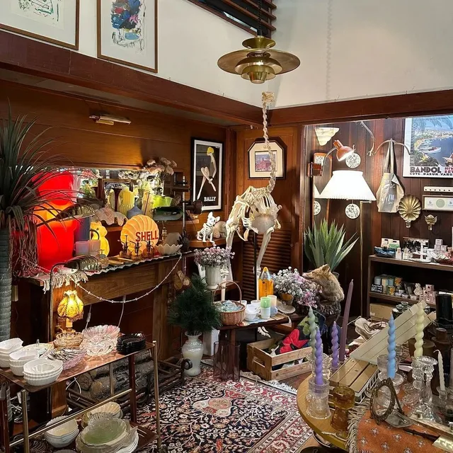 I Can't Stop Browsing This Store in Seattle!