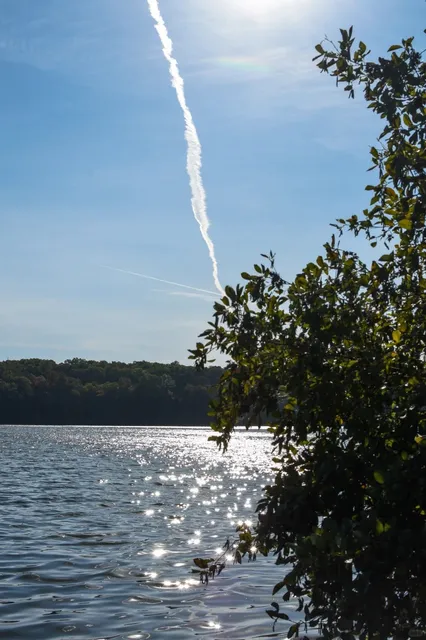 Atlanta’s Autumn Escape | Sweetwater Creek State Park 🍂🌅