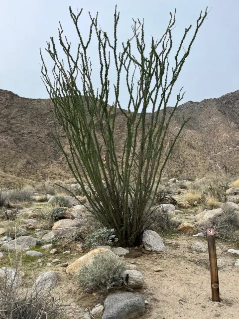 🎉 An Unforgettable & Fun-Filled Day! 🌿