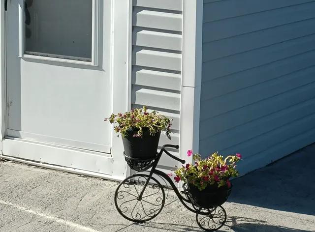 Wolfe Island Escape: A Free Ferry to Serenity 