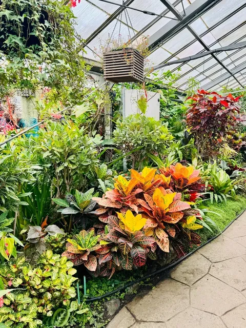 🇨🇦 ​​FREE Urban Oasis Alert! Allan Gardens + Weekend Market​​ 🌿🌸