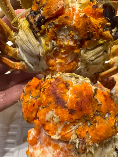 Must-Try in Boston Malden! Hairy Crab Season is Here