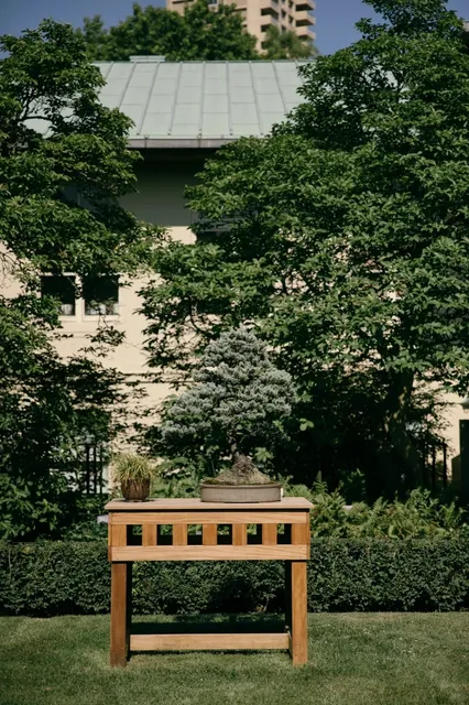 🌿 Brooklyn Botanic Garden: A Serendipitous Afternoon