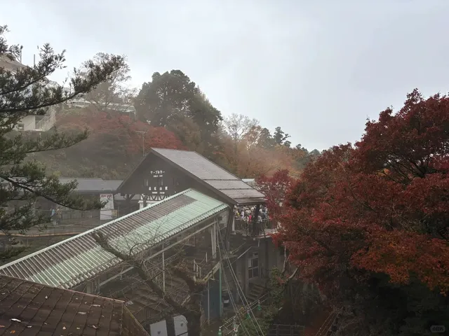 Climbing Takao Mountain for a Panoramic View 🌸