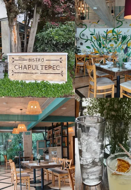 Bistró Chapultepec | Lakeside Dining in the Heart of the City