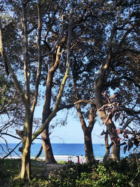 Sunshine Coast Getaway 🌊🏖️