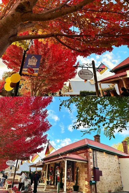  Adelaide 3 Days 3 Nights Free & Easy Trip