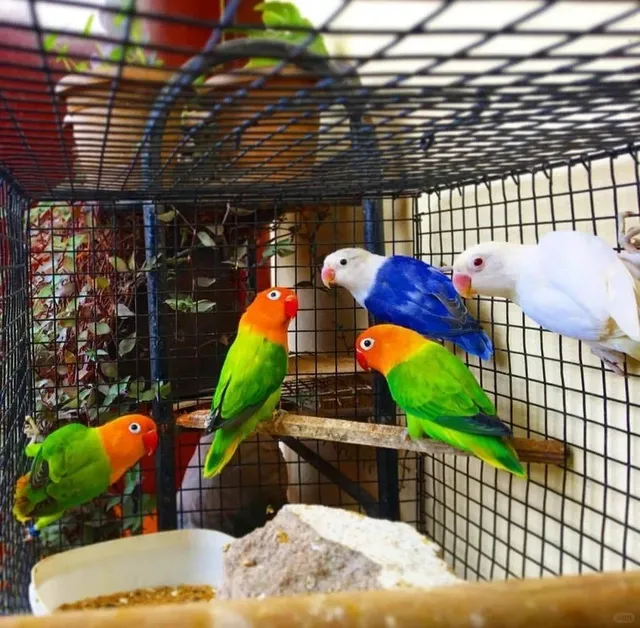 Discover the Treasures of Islamabad 