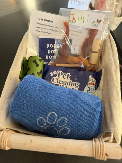 🇳🇿 New Plymouth with My Pilot-Pup! ✈️🐾