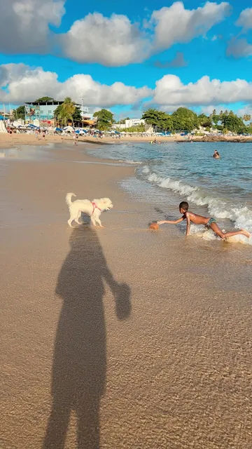 Essential Tips for First-Time Visitors to São Paulo, Brazil(part 1 )