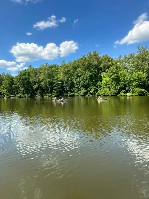 🌲 Weekend Water Fun in Virginia — Bear Creek Lake State Park 🏞️