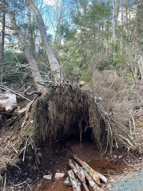 2 Days, 1 Night in Truro, NS 🇨🇦 – A Perfect Getaway from Halifax