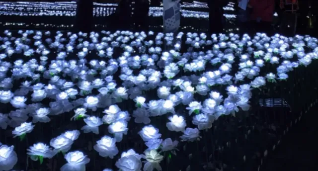 London's Winter Exclusive Romance: Ever After Garden ✨