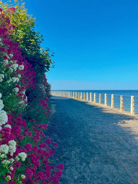 🇬🇧 UK | I Could Bow to Newcastle’s Sea 🌊💙