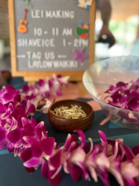 A Perfect Home Vacation at The Laylow 🌺