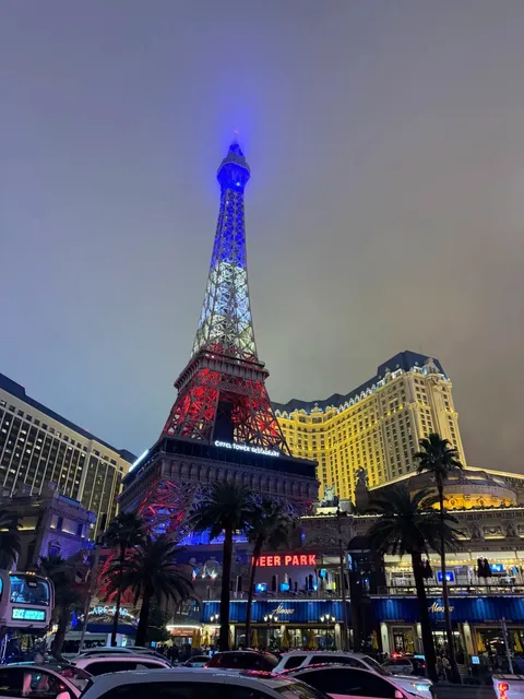 Night Views of Las Vegas 🌃✨
