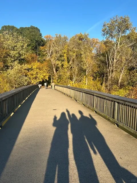 DMV Fall Foliage Spot｜Roosevelt Island 🍂🏞️