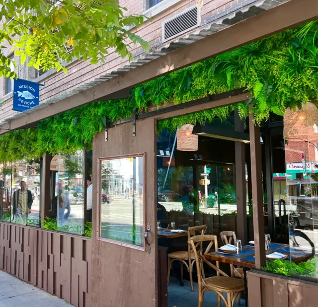 Is Mission Ceviche in Manhattan Really Good? (2)🥬