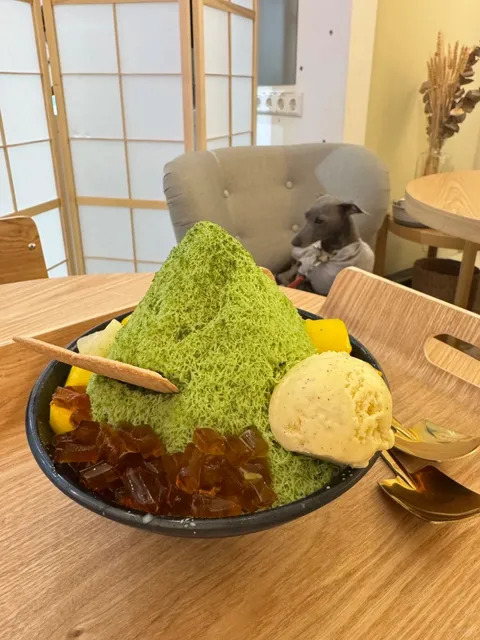 🇩🇪 Two Places for Matcha Shaved Ice in Stuttgart 🍵🧊