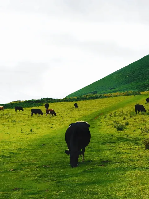🇬🇧｜At This Moment: Rhossili Bay – UK's Most Stunning Beach
