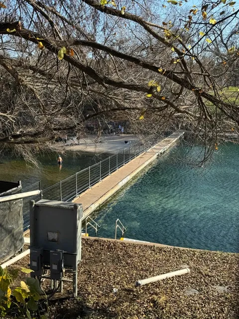 Barton Springs Pool Guide: Everything You Need to Know Before You Go
