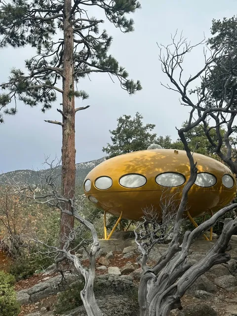 Idyllwild Pine Cove | Stepping Right Into Autumn! 🍂  