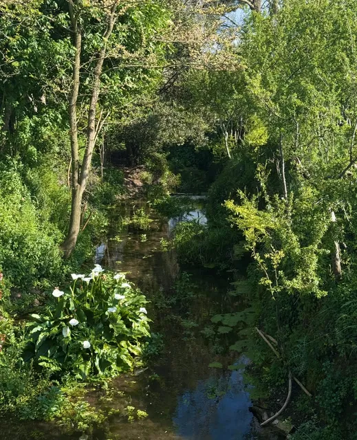 A Hidden Gem in Rome – A 2,000-Year-Old Aqueduct Park