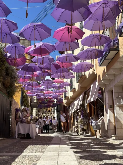 Lavender Town Near Madrid