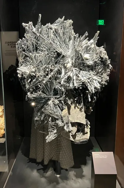 ​​Yale Peabody Museum | Where Rocks Steal the Spotlight 💎✨​​