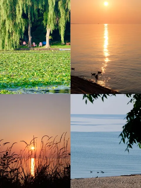 🇨🇦 Every Lakeside Spot Near Toronto is Breathtaking!🌊✨  