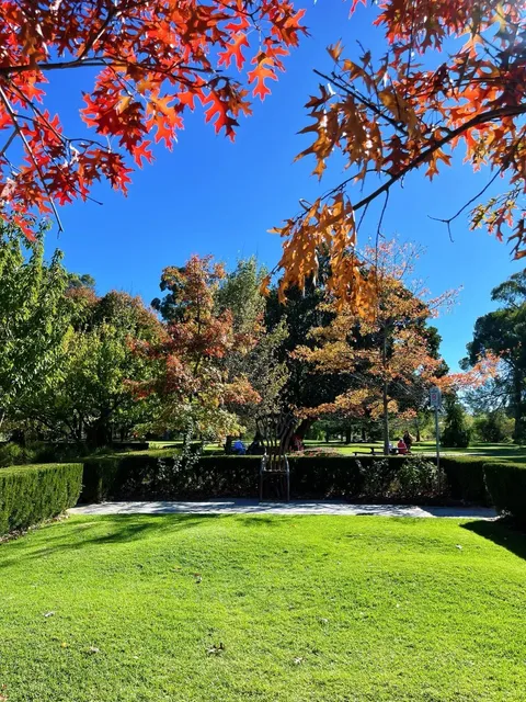 ✨ Bendigo - Australia's Most Picturesque Town That Feels Like a Dream