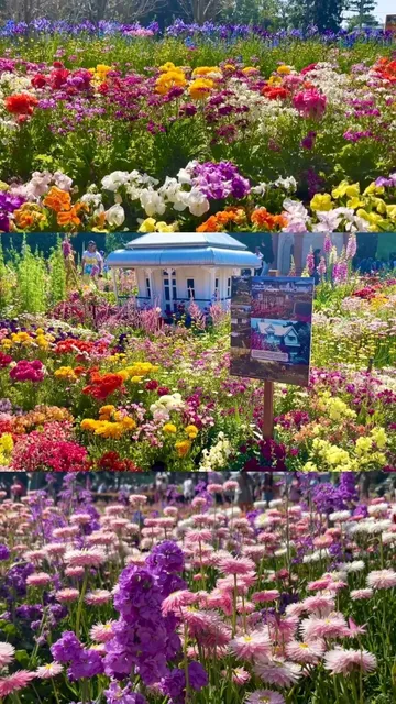 Discover Toowoomba: A Charming "Southern France" Escape Near Brisbane!