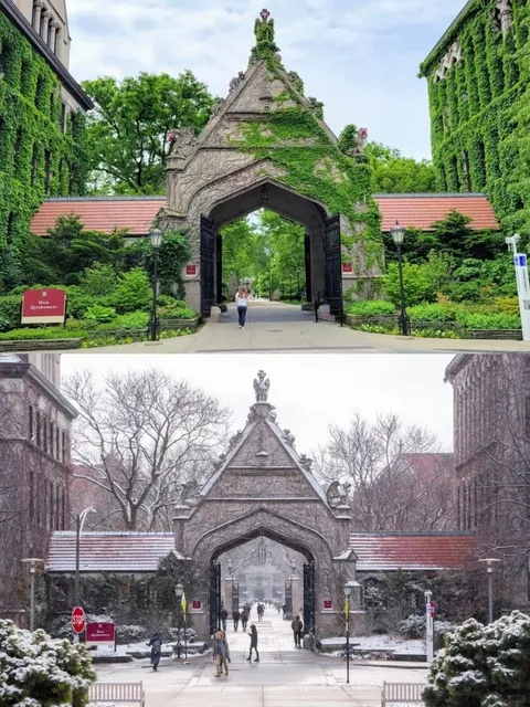 🎓✨ 10 Reasons to Fall in Love with the University of Chicago 🏛️💖