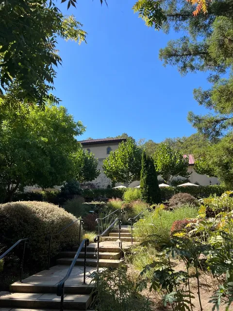 🇺🇸 Napa, California: A Perfect Day Trip Under the Golden Sun! ☀️🍇