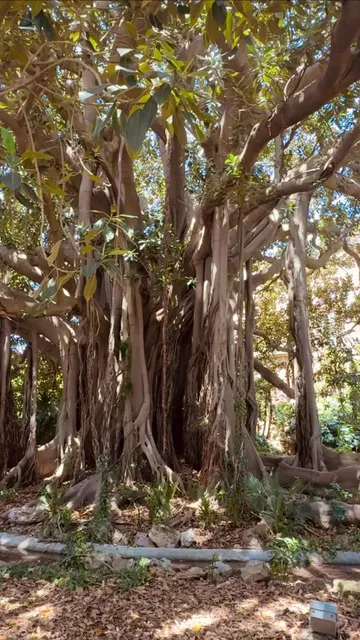 🇮🇹 A Timeless Sicilian Noble Villa 🏛️