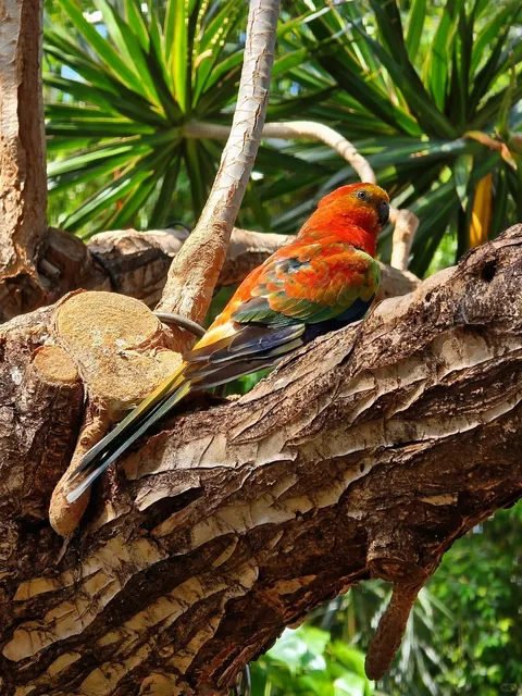 🇨🇦 Bloedel Conservatory - A Tropical Oasis in Queen Elizabeth Park! 