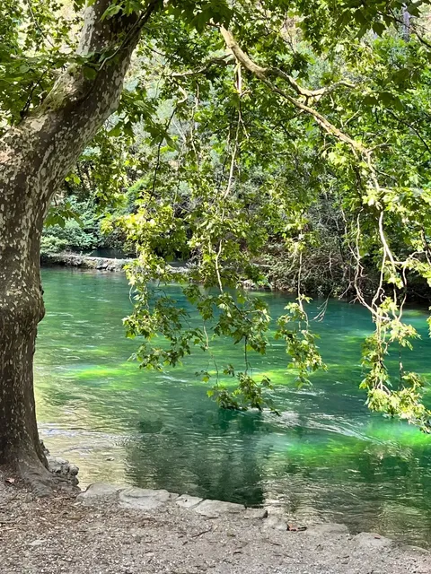 Provence, How Many Secrets Do You Still Hold That I Don't Know About?