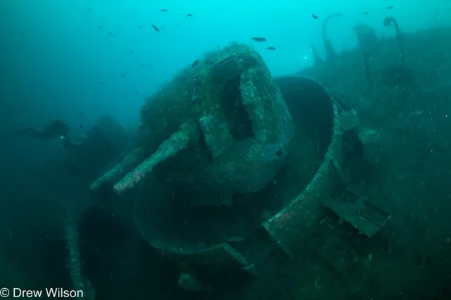 🌊 Still One of the Best Dive Companies in the Industry! 🐠