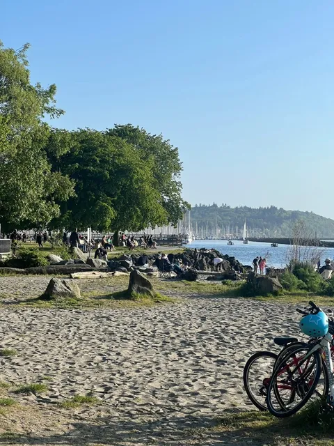 ​​Golden Gardens Beach | Seattle's Perfect Sunny Day Escape 🏖️🌳​​