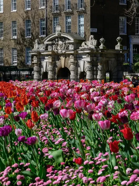 Stumbled upon the Embankment Gardens in London...