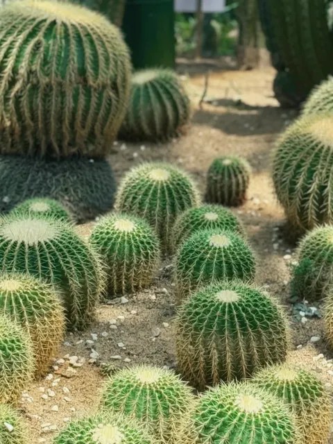 Tropical Botanical Garden 🌴🌺 | A Quick Rainforest Escape