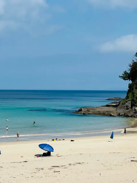 Japan Summer Travel Guide - Izu Shimoda(2) 🌊🌴